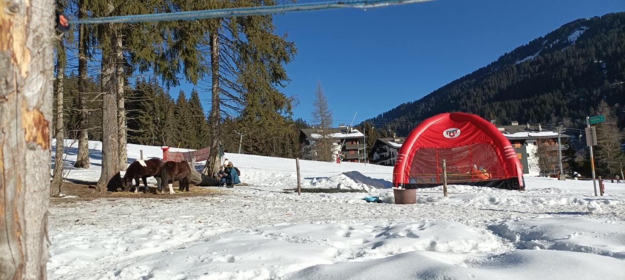 Studio Appartement Avec Piscine, Ski Porte Du Soleil Morgins, Ps3 Games, Wash & Bring Sheets المظهر الخارجي الصورة